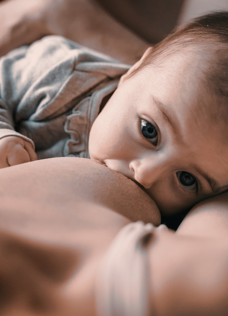 The role of the breast microbiome