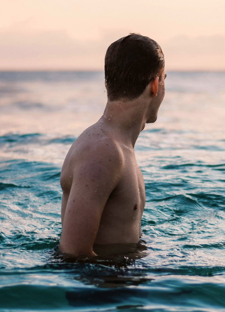 Relationship between the gut, probiotics and the immune system