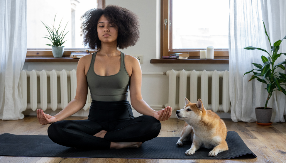 Stress resilience and your microbiome