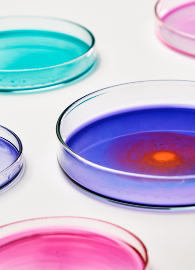 Can bacteria support our immune system?