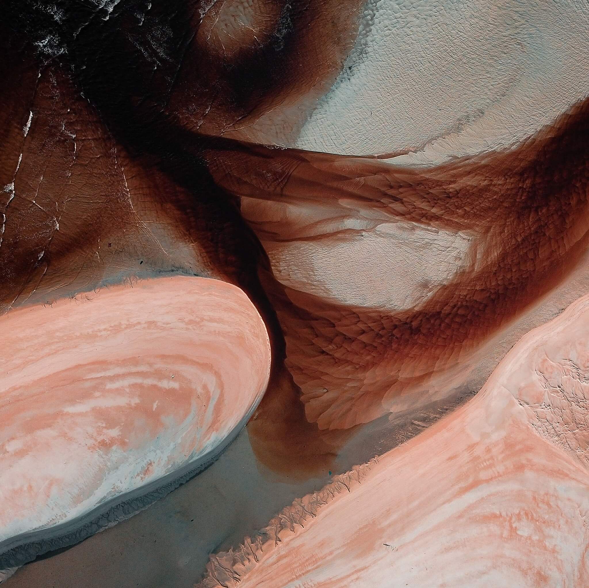 Exploring vaginal microflora