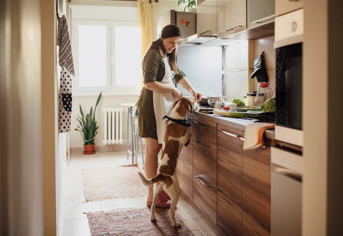 What to eat when you're pregnant