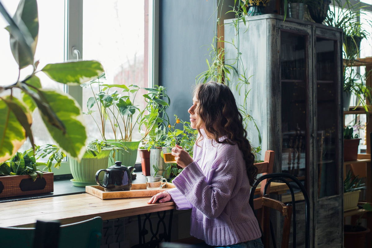 Premenstrual Syndrome: Unpacking PMS and Support with Probiotic Use