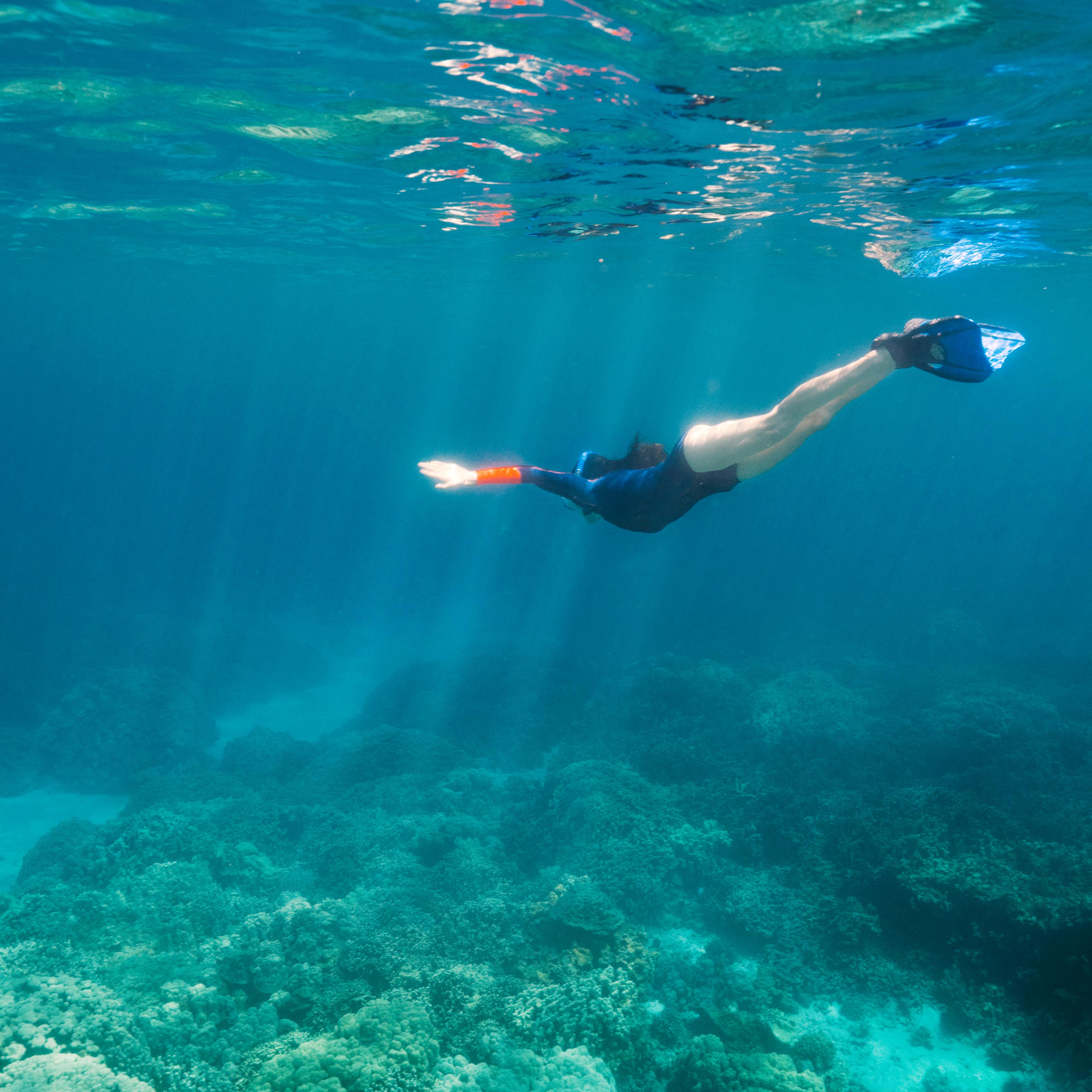 Restoring a healthy ecosystem – probiotics supplements to support a healthy gut microbiome