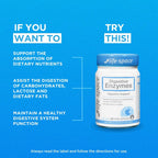 Digestive Enzymes