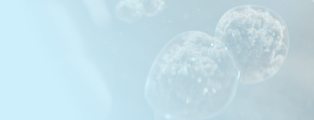 cms-banner
